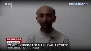 Қашқадарё вилояти, Ғузор туманида гугурт қутисидаги марихуана сўнгги манзилга етаклади