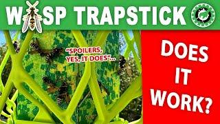 GOT WASPS? Try the Rescue WASP TRAPSTRICK – Does it work? Spoilers, YES IT DOES! – DIYBRY