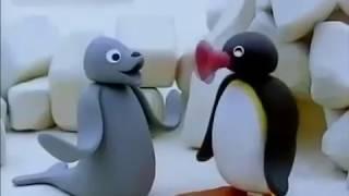 Every type of 'Noot Noot' in one video - Noot noot compilation