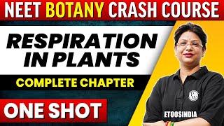 RESPIRATION IN PLANTS in 1 shot - All Concepts, Tricks & PYQ's Covered | NEET | ETOOS India