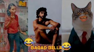 Bagad Billa funny video \\ Bagad BILLA funny reels \\ Ankit .Ang Funny Cat Video \\#comedy
