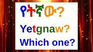 How To Say "Which One?" In Amharic/Amharic Phrases For Beginners/አማርኛ-እንግሊዝኛ/Amharic Lesson/#Amharic