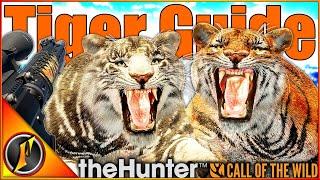 How to Hunt Tigers! | Locations, Zones, Times & More! | theHunter Call of the Wild