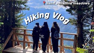 ALBERTA HIKING VLOG: Banff Sunshine Meadows, Sony ZV-1