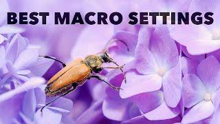 The Best Camera Settings for Macro and Close-Up Photography
