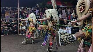 Penontone Mbludak!! Rampak Buto Bolomudo Gedruk X Langen Turonggo Sari