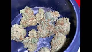 Edison Cannabis Sour OG Cheese Buds New!!!