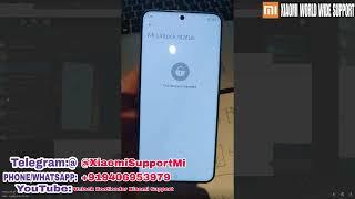 Install Xiaomi 15 Pro Global ROM in Just 10 Minutes!