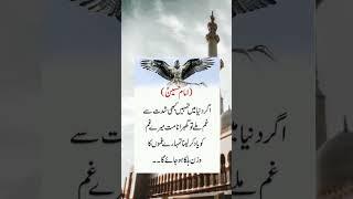 Urdu Quotes #nasihat #viral #shorts