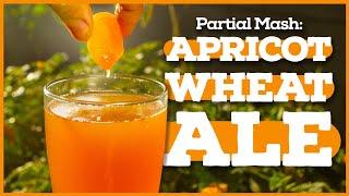 PARTIAL MASH BREWING - Beginner's Guide [Apricot Wheat Beer Recipe]