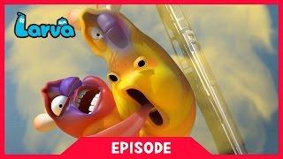 LARVA - THE TAXI | 2017 Cartoon Movie | Cartoons | Comics | 라바 | LARVA Official