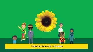 Irish Rugby Supports Hidden Disability Sunflower Scheme