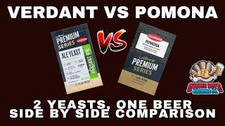 LalBrew Pomona vs LalBrew Verdant IPA Yeast  - Side By Side Comparison