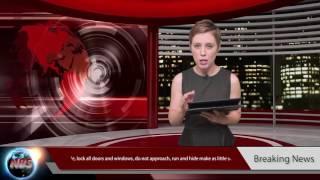 Zombie Outbreak News Report