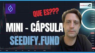  Mini-Capsula, Qué es Seedify? Lo nuevo de Criptobernie