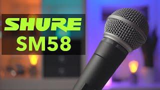 Shure SM58: Ein Mikrofon für ALLE? Test und Erfahrungen