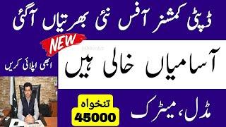 Deputy Commissioner Office Jobs 2024  |Govt New Jobs in Pakistan 2024 | Pakistan Government job 2024