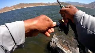 De Pesca En Lake Isabella Con Amigos