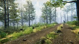 Forest Environment - Dynamic Nature - Level_Art | Unity 2019