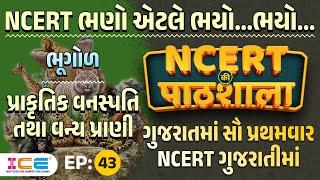 NCERT | EP 43 | પ્રાકૃતિક વનસ્પતિ તથા વન્ય પ્રાણી - Geography - NCERT की पाठशाला