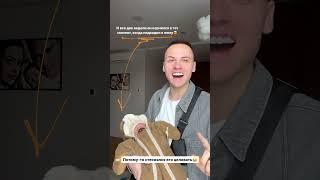 АНЯ ИЩУК ДИМАС БЛОГ И ТЕО #димасблог #аняищук #tiktok #shorts #хайпхаус #reels