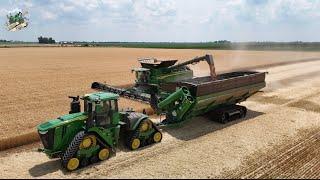 Wheat Harvest 2024 at Crossroad Farms in Indiana