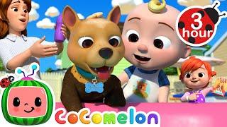 Bingo's Bath Song  CoComelon - Nursery Rhymes and Kids Songs | 3 HOURS | After School Club