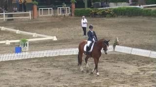 Copa FVDE De Adiestramiento 2016 Elena Ceballos en Wendy Palo Blanco P4