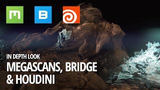 Megascans + Bridge + Houdini: an in-depth look