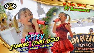 Si Cilik Viral Kitty - ITANENG TENRI BOLO (Lagu Bugis terviral)