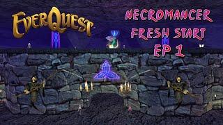 Project 1999 Green Server | Fresh Start Dark Elf Necromancer ep 1
