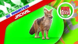 Green Screen Jackal 3D Animations - PixelBoomCG