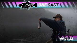 Lilley's One Cast, June 24