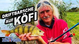 HERBSTKIRSCHEN mit POSE & KÖDERFISCH - BARSCHANGELN mit JÖRG OVENS -Unser Ziel ist Fisch Angelschule