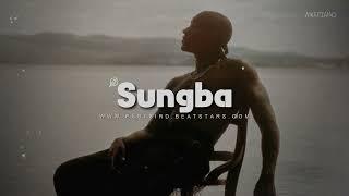 FREE Asake x Tyla type beat | amapiano x afro type beat 2024 - SUNGBA | Afrobeat Instrumental