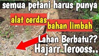 Semua Petani Wajib Tahu.. Cangkul Penyiang Gulma Cocok Di Semua Lahan