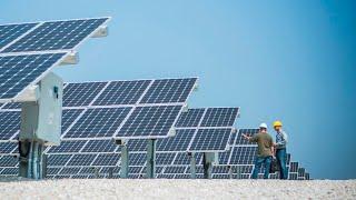 Renewable energy is 'an indulgence of lefties': Bernardi