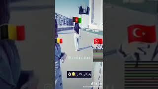 NEW AFGHAN TIK TOK 2020/بهترین تیک تاک های افغانی ۲۰۲۰