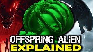 What is The Offspring Human Alien Hybrid? Story & Anatomy Ending Explained - Alien Romulus Lore