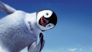 ЖИВОТНЫЕ АНТАРКТИДЫ| |ANIMALS OF ANTARCTICA РАЗВИВАЮЩЕЕ ВИДЕО