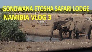 Namibia Vlog 3 | Abenteuer in Namibia: Von der Mokuti Lodge bis zur Etosha Safari Lodge