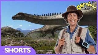 Diplodocus Facts - Andy's Dinosaur Adventures - CBeebies