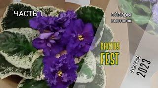 Выставка-ярмарка CACTUS FEST / Весна 2023. Часть 1. Сенполии. Узамбарские фиалки.