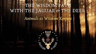 Animals as Wisdom Keepers - The Wisdom Path (The Jaguar & The Deer) - Episode 9