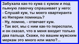 Два пальца это много или мало? Клуб анекдотов!