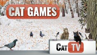 CAT Games | Nature, Birds and Windows | 3D Videos For Cats to Watch | 