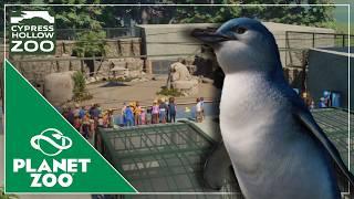 Little Penguins with UNDERWATER Viewing | Cypress Hollow Zoo | Planet Zoo