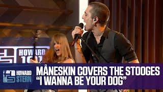 Måneskin Covers the Stooges’ “I Wanna Be Your Dog” Live for the Stern Show