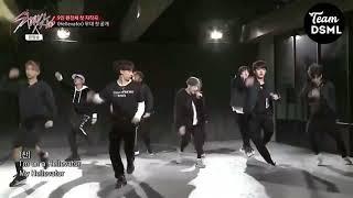 1st VS Last Performance  _ 'Hellevator' - STRAY KIDS