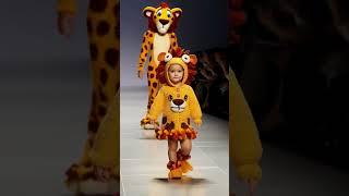 Cute Simba #baby#cute#youtubeshorts#viral#videoFierce and fabulous! 